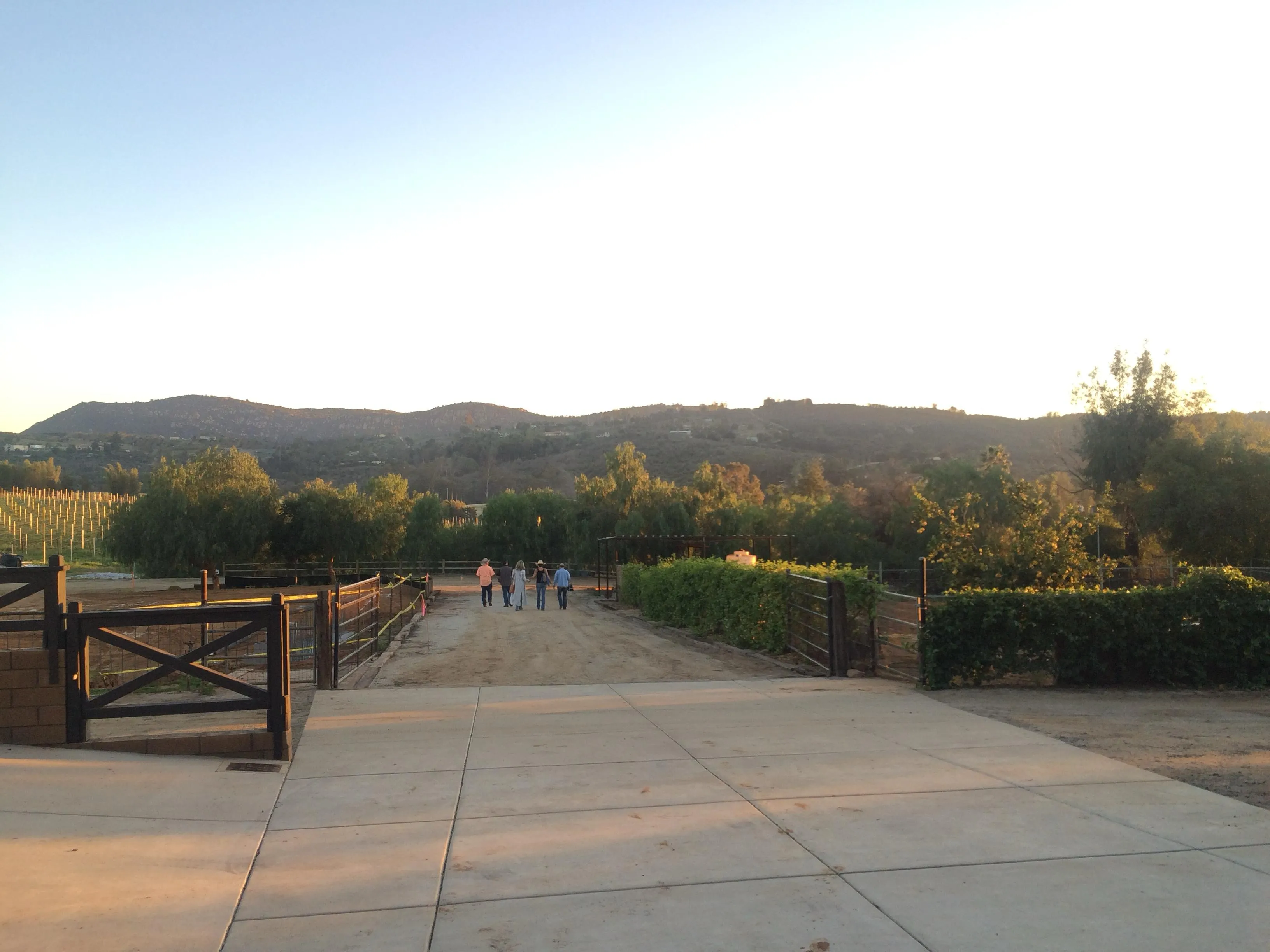 Family, vineyard and program photography